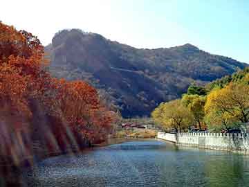 管家婆黑白马报图库，小段探花